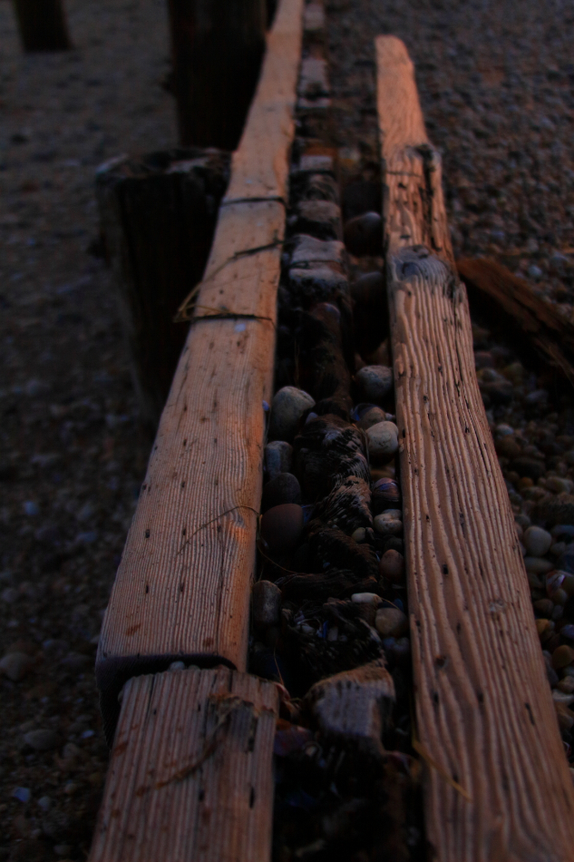 2011 03 17 IMG 25750